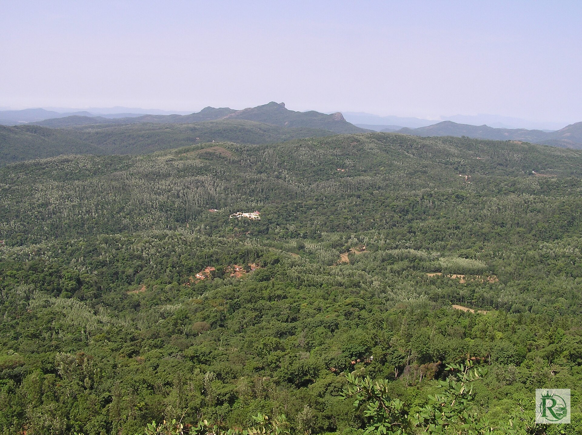Chikmagalur Coffee Country, Chikmagalur