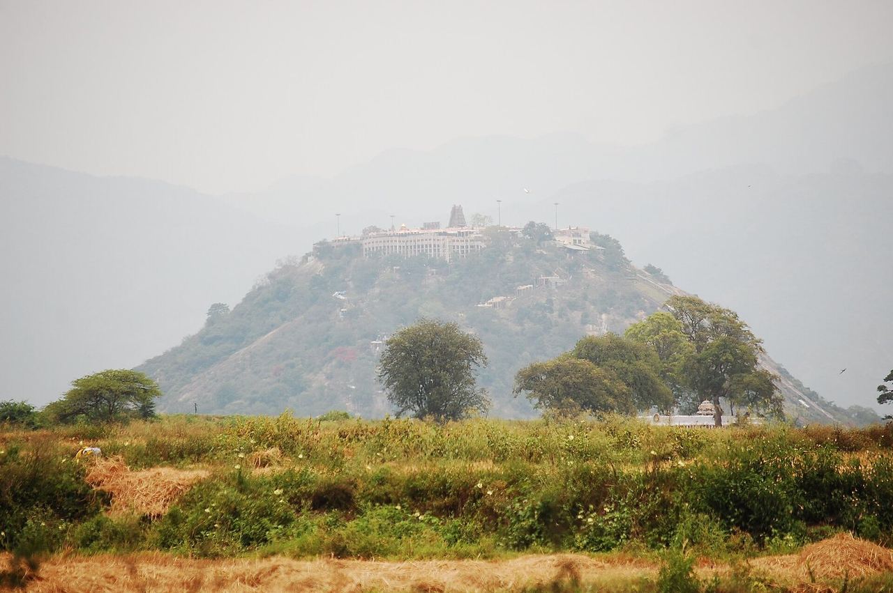 Palani Murugan Temple